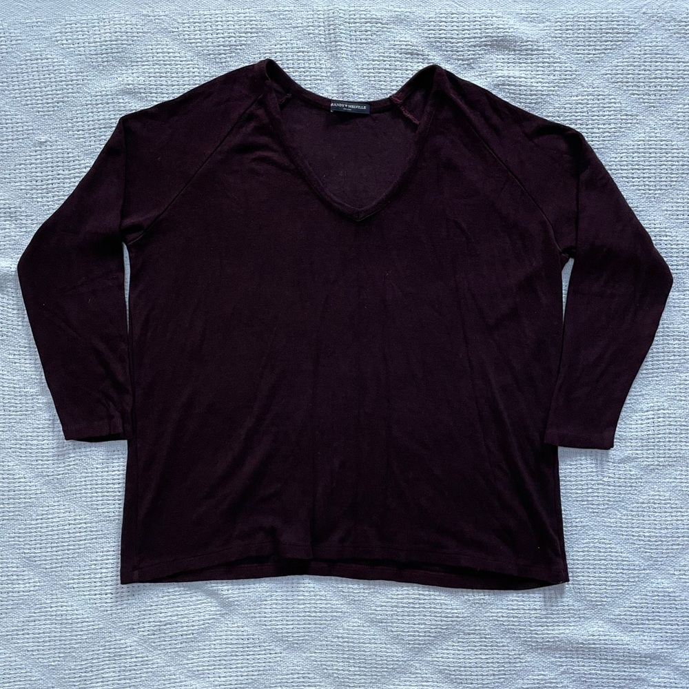 Brandy Melville v-neck longsleeve Tunic Top